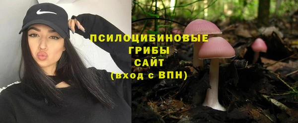 сатива Белокуриха