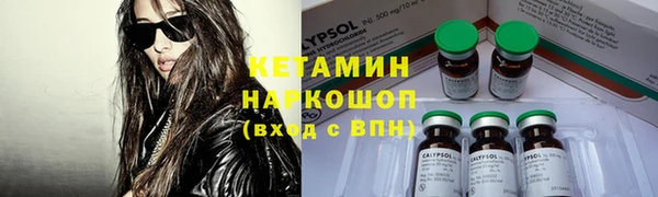 сатива Белокуриха