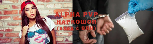 сатива Белокуриха