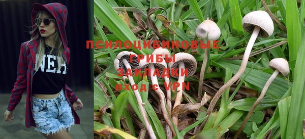 PSILOCYBIN Белоозёрский