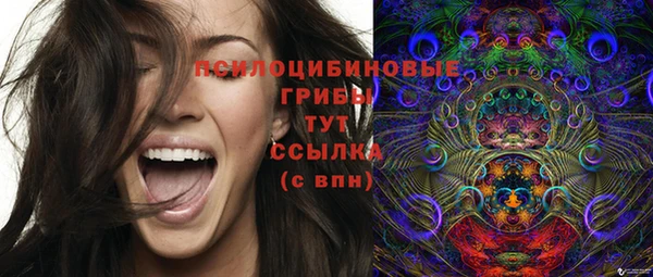 эйфоретик Беломорск
