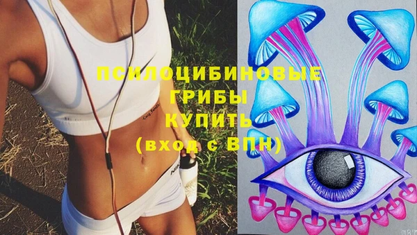 PSILOCYBIN Белоозёрский