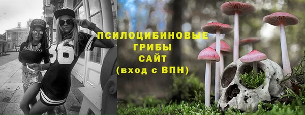 сатива Белокуриха