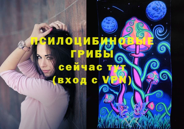 сатива Белокуриха