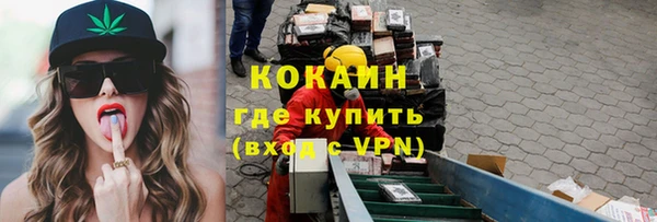 сатива Белокуриха