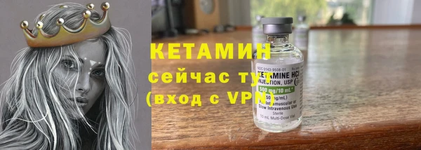 сатива Белокуриха