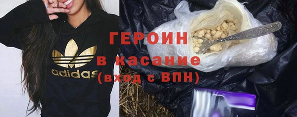 сатива Белокуриха