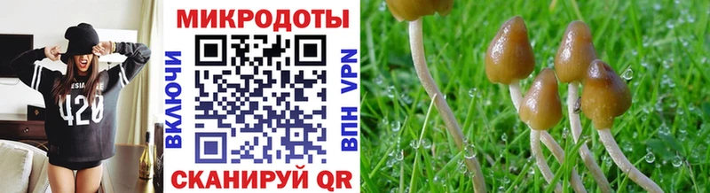 Псилоцибиновые грибы ЛСД  Данилов 